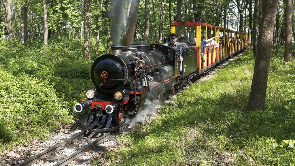Schwarze Dampflok zieht offene Personenwagen mit Fahrgästen durch einen grünen Wald.