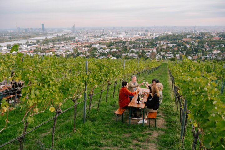 Gruppe von Menschen genießt Wein in einem Wiener Weingarten mit Blick auf die Stadt
